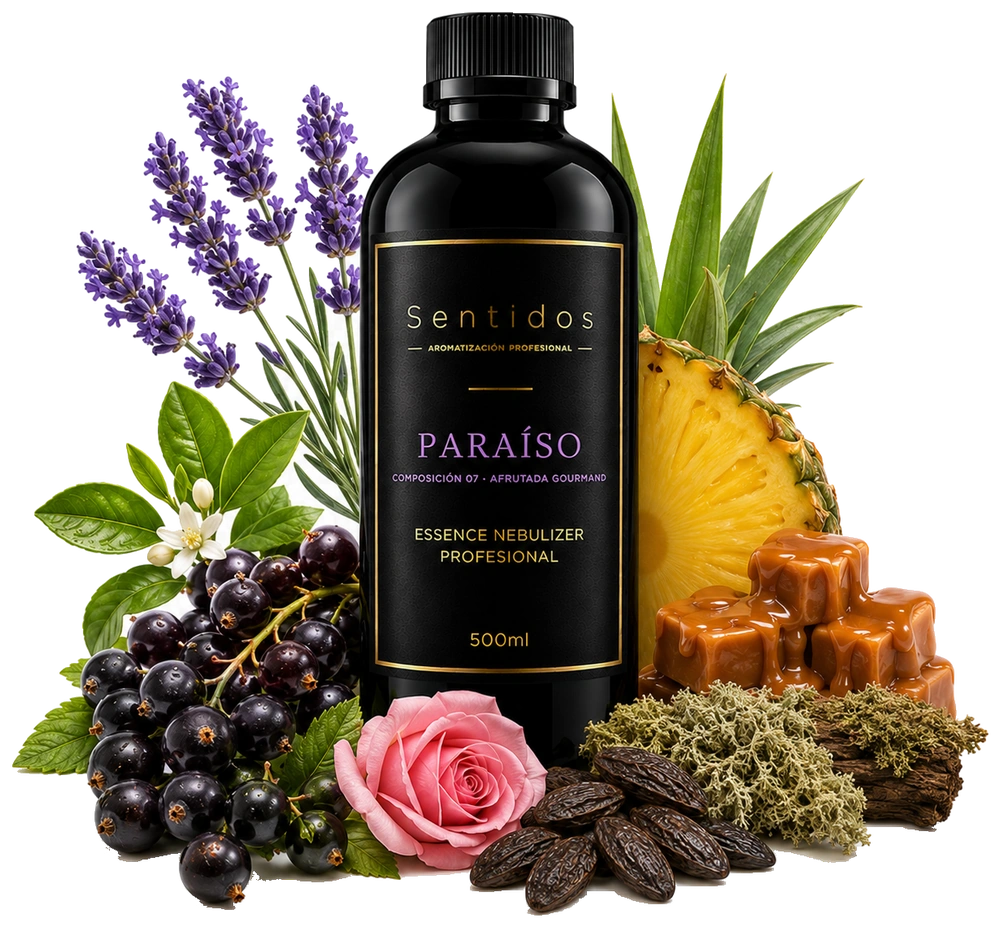 Fragancia Paraíso, Sentidos Aromatización — composición Afrutada Gourmand con grosella negra, piña y caramelo